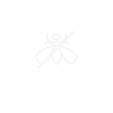 誠(chéng)信木材