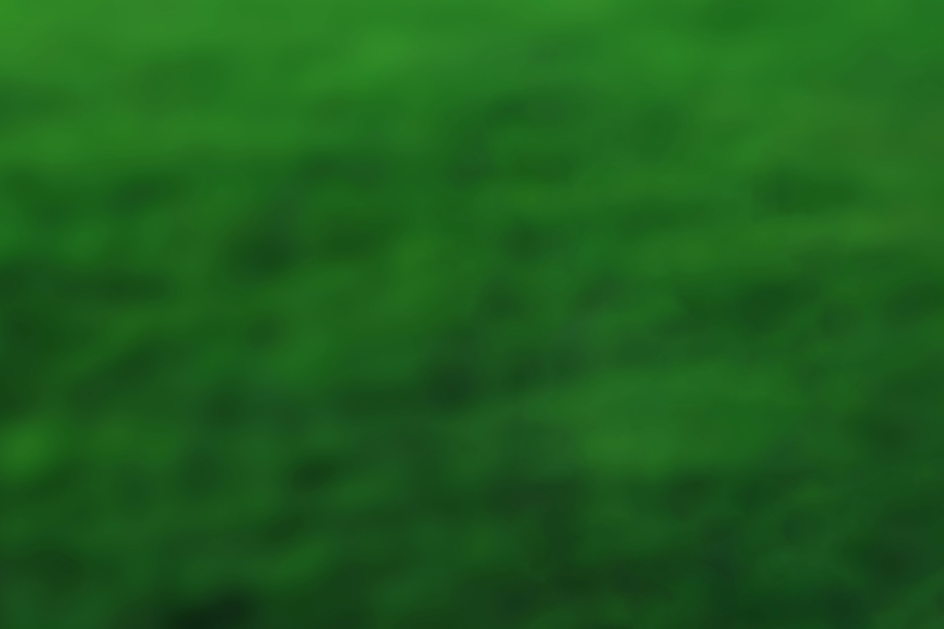 imgboxbg