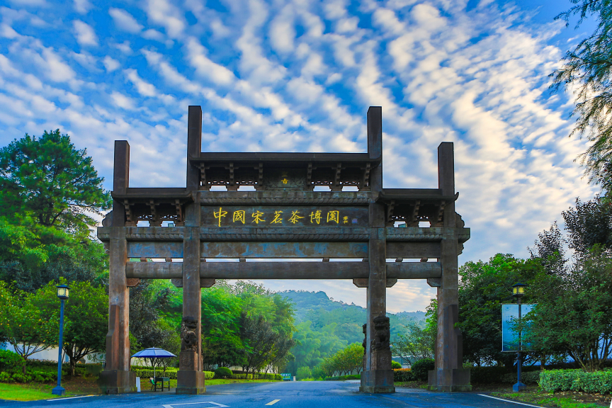 企業(yè)介紹