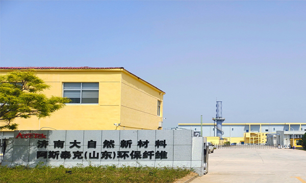 企業(yè)優(yōu)勢 企業(yè)優(yōu)勢
