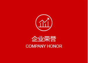 企業(yè)榮譽(yù)