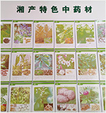 大宗藥材名錄