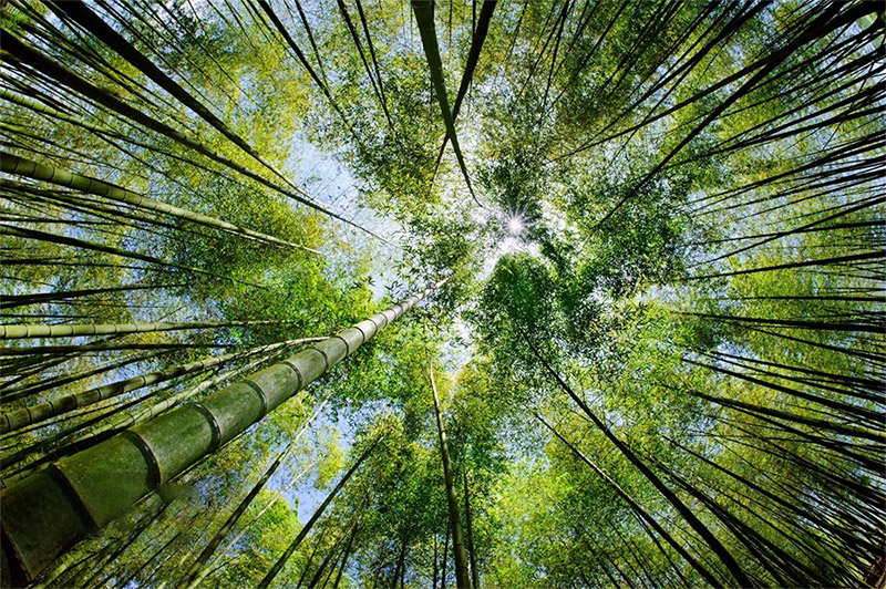 這是描述信息 這是描述信息