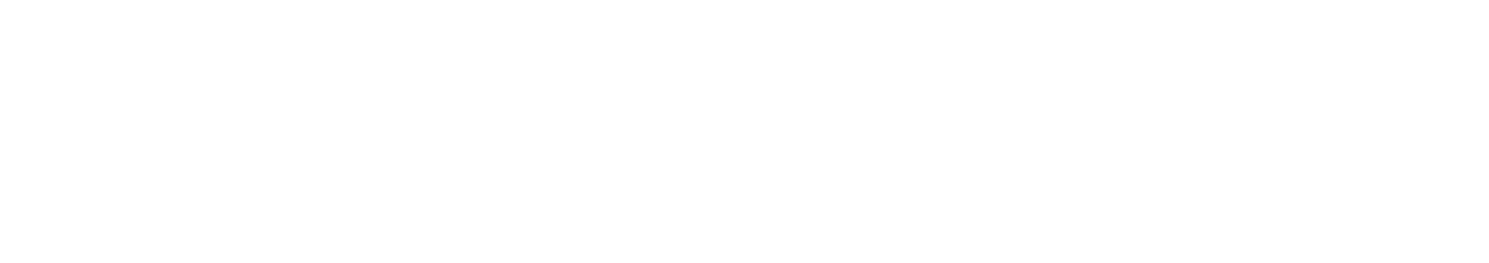 鴻星