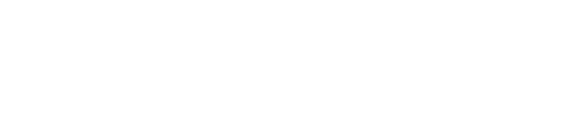 必硕