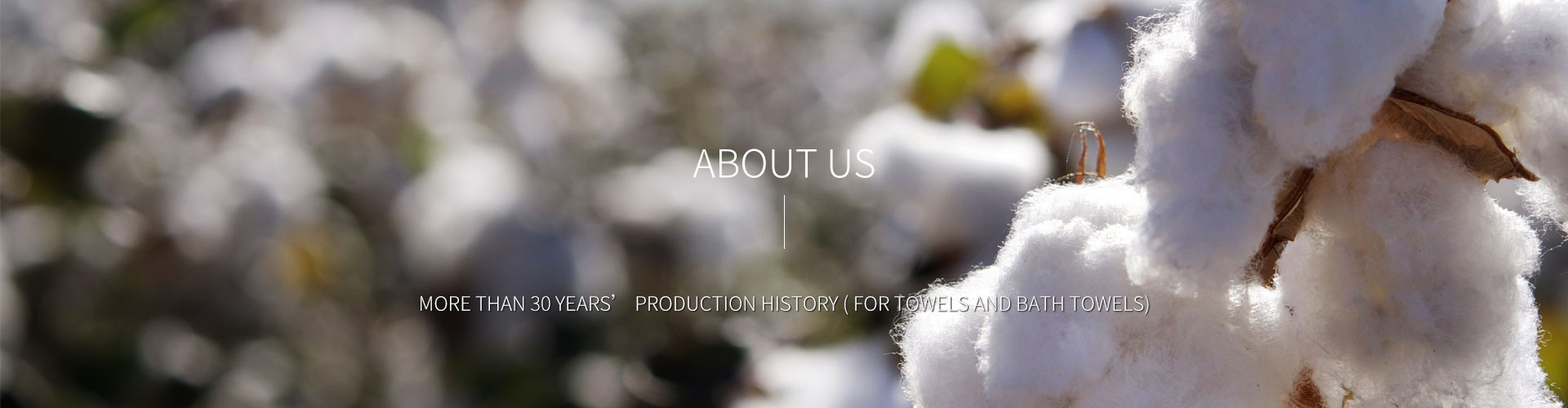 Hubei Jade Hare Home Textile Co.,Ltd Hubei Jade Hare Home Textile Co.,Ltd