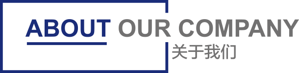 中科和素