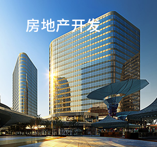 房地產開發