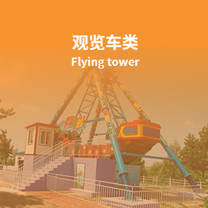 武漢順源游樂(lè)設(shè)備制造有限公司