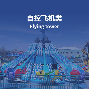 武漢順源游樂(lè)設(shè)備制造有限公司