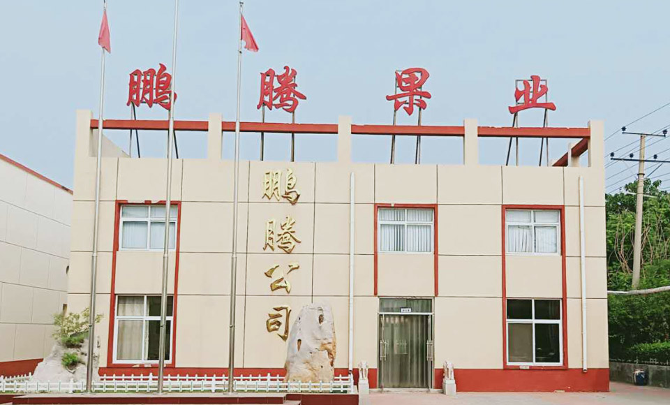 企業(yè)介紹