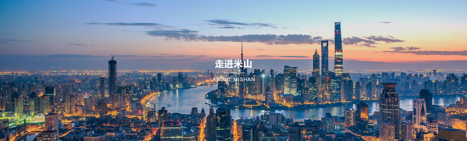 這是描述信息