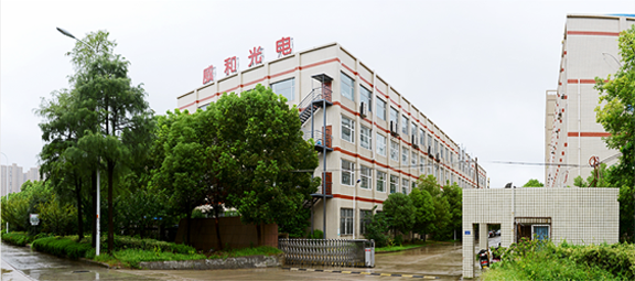 武汉威和光电股份有限公司