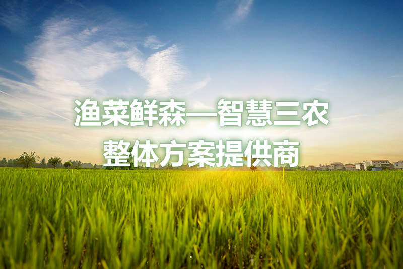 漁菜鮮森 漁菜鮮森