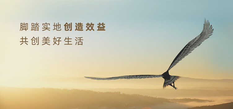 寶飛機(jī)電 寶飛機(jī)電