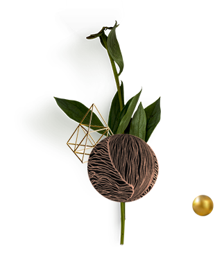 brakula