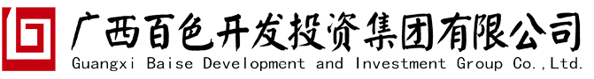 百投集团