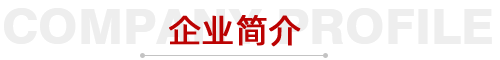 企業簡介