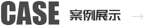 案例展示