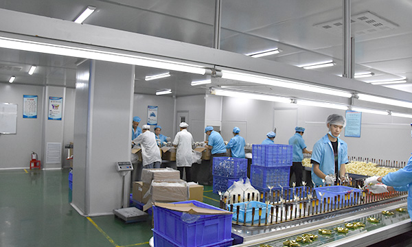 惠州固鉑能包裝科技有限公司