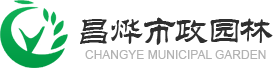 昌燁 昌燁