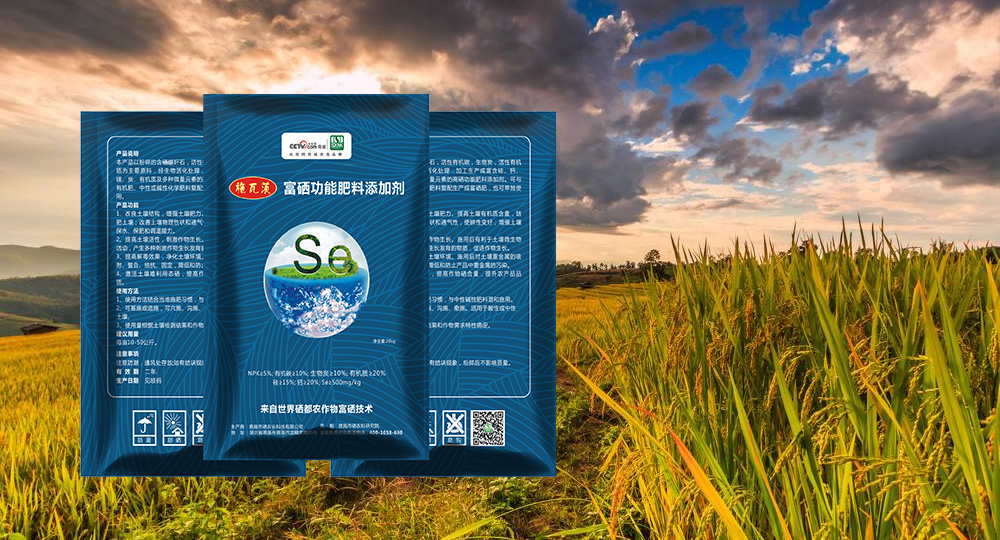 施瓦茨集團(tuán) 施瓦茨集團(tuán)