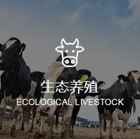 银香伟业