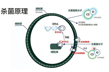 德生緣