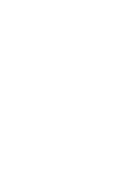 dingrui