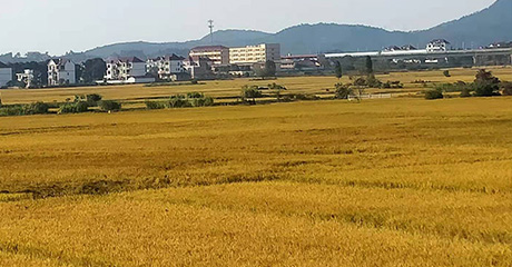 底部