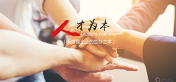 人(ren)才(cai)战略 人才(cai)战略(lve)