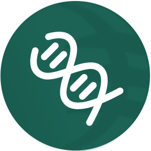 園豐 園豐