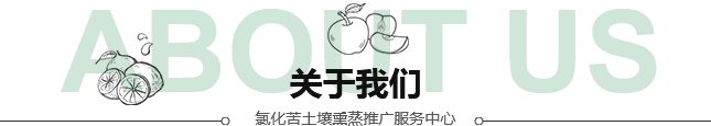	安丘市供銷(xiāo)農(nóng)業(yè)生產(chǎn)資料有限責(zé)任公司