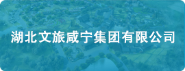 鄂旅投