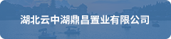 鄂旅投