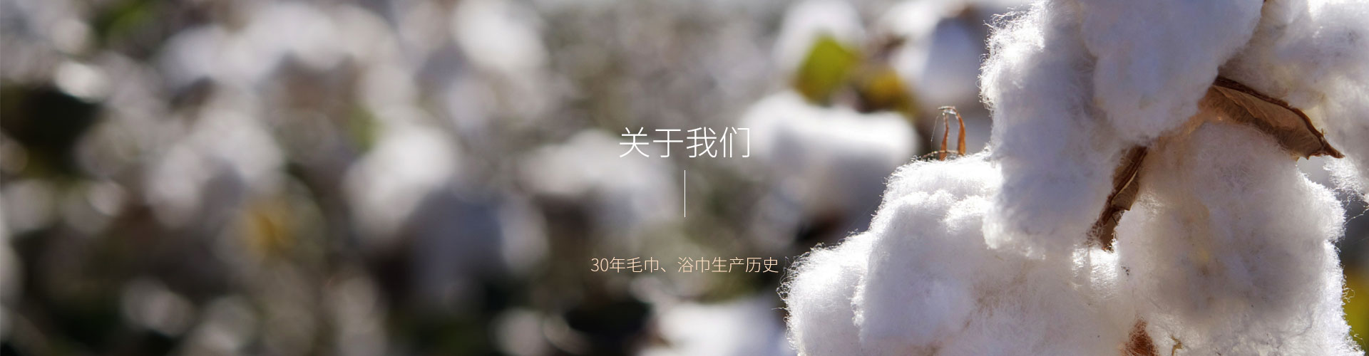 湖北玉兔家紡有限公司