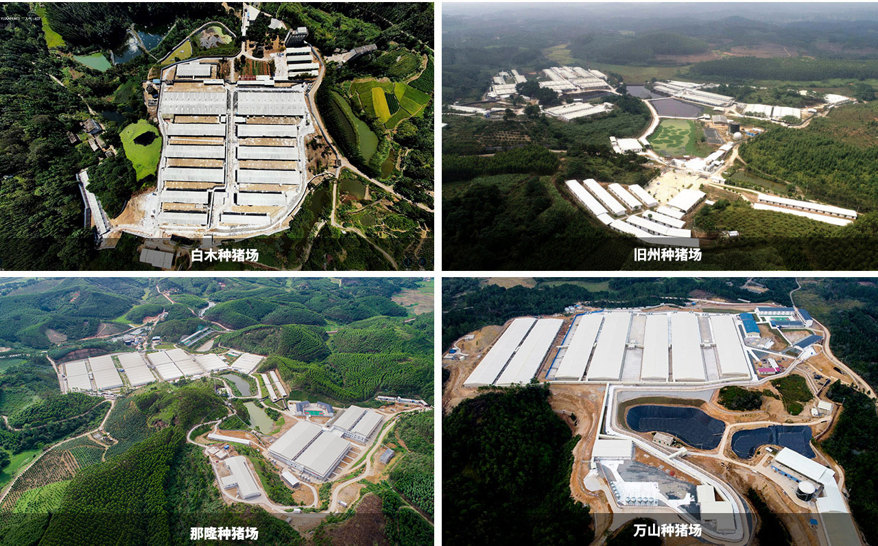 這是描述信息