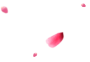 花瓣