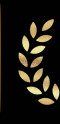 這是描述信息