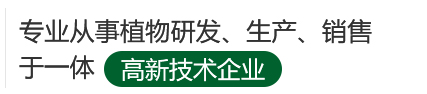  江西海瑞天然植物有限公司