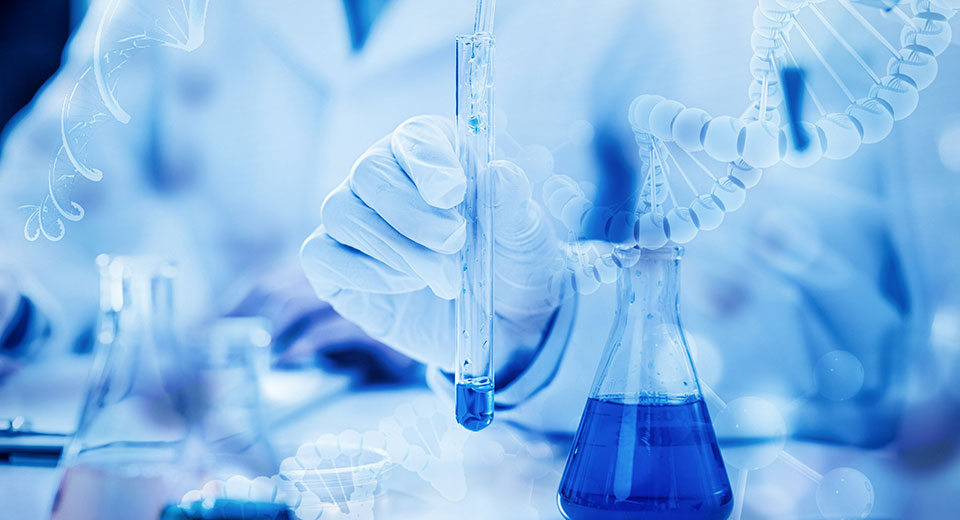 河南佰研生物科技有限公司 河南佰研生物科技有限公司