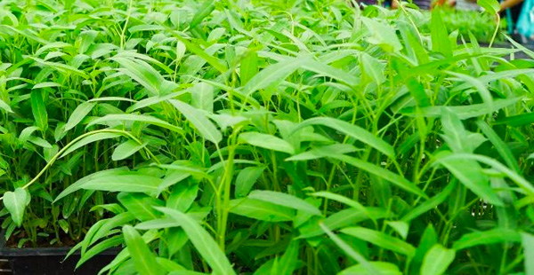 這是描述信息