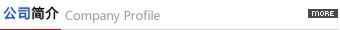 公司簡(jiǎn)介