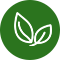 桑樹產(chǎn)業(yè)