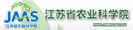 友情链接
