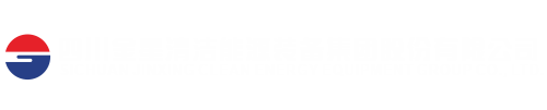 四川31399金沙娱场城清洁能源装备股份有限公司