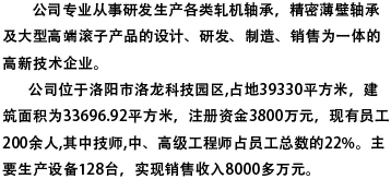 洛陽(yáng)匯工軸承科技有限公司