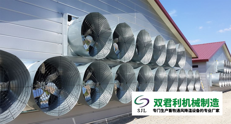 這是描述信息