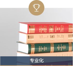 专业化