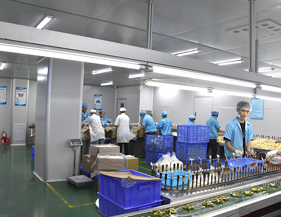 企業(yè)介紹 企業(yè)介紹